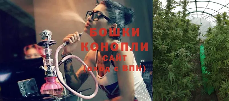 blacksprut   Тетюши  Шишки марихуана OG Kush 